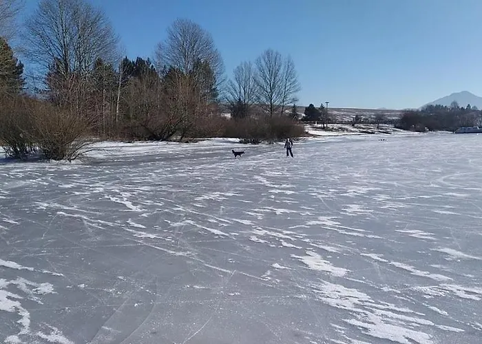 Dreveničky Vodníček A Rybička *